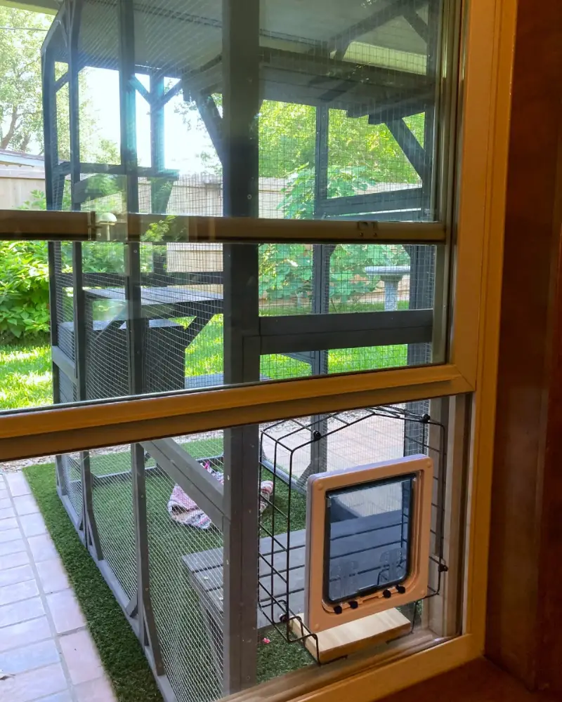 Window Sash Pet Door Inset Opening Into Outdoor Wire Catio