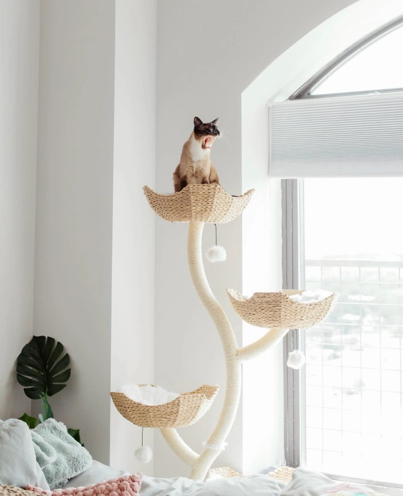 Woven Rattan Flower Perch beside Arched Window