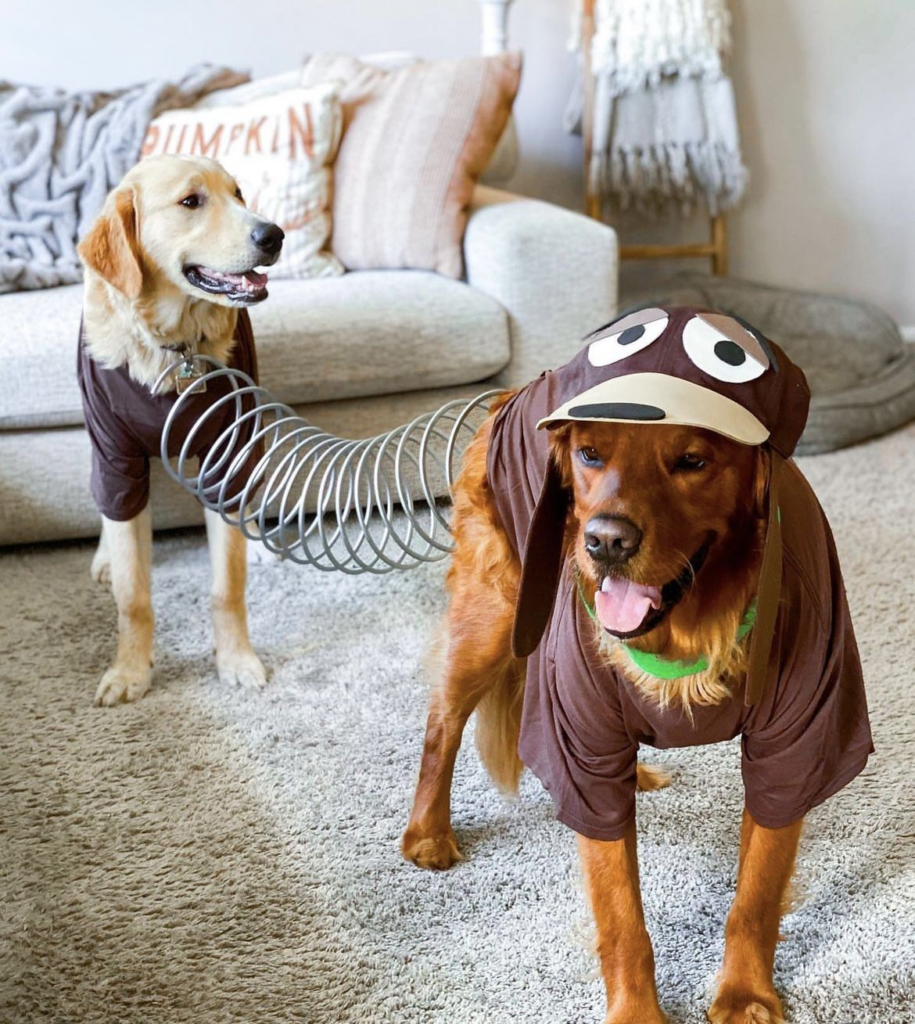 1. Two-Part Slinky Dog Costume on Golden Retrievers