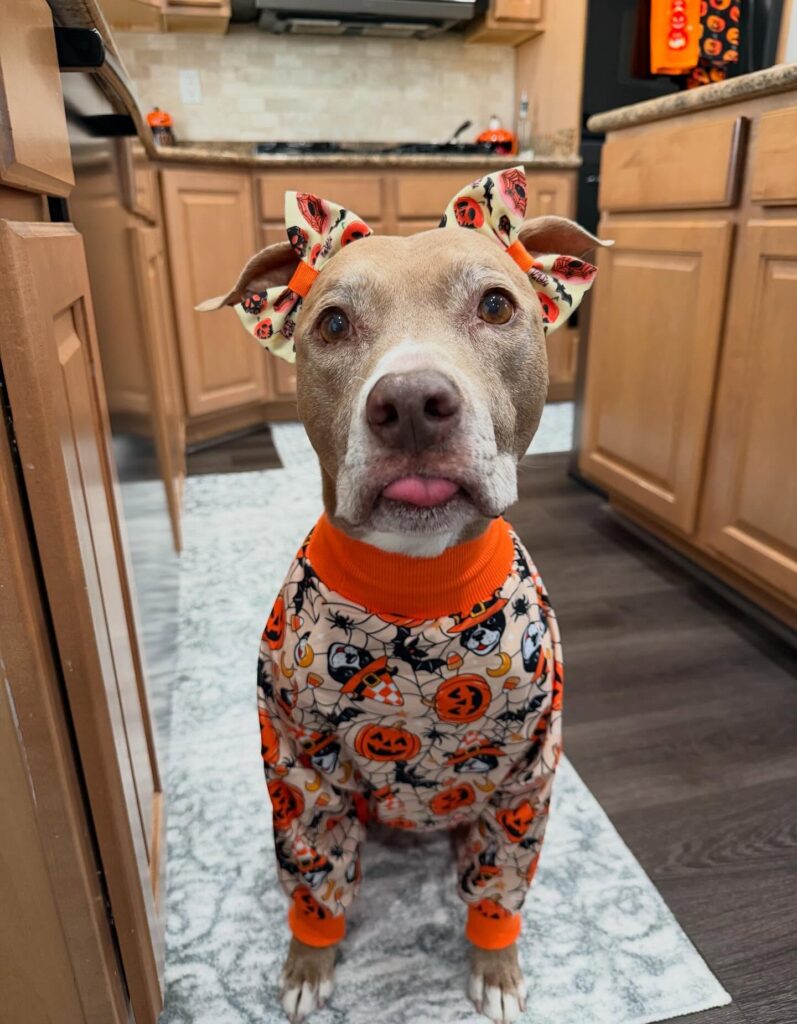 11. Halloween Print Pajamas with Matching Bow Ears