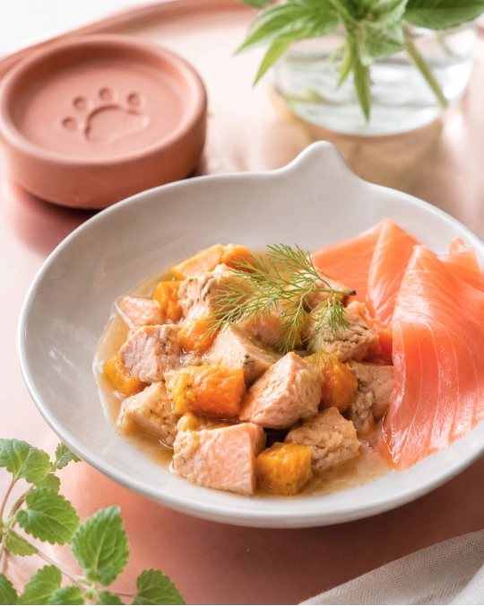 Salmon and Pumpkin Gravy