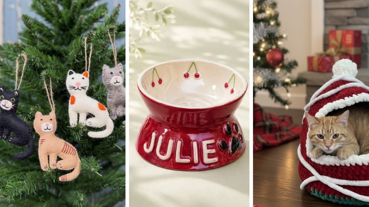 17 Cat Christmas Gift Ideas
