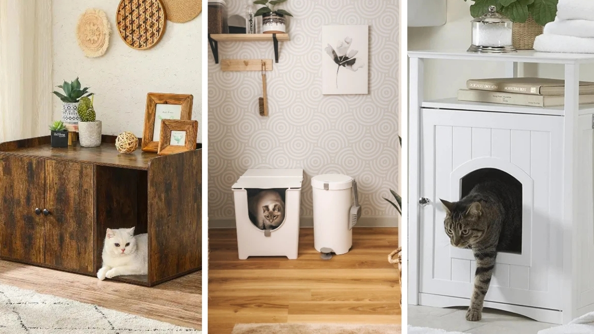 17 Cat Litter Box Ideas That Hide the Box in Plain Sight