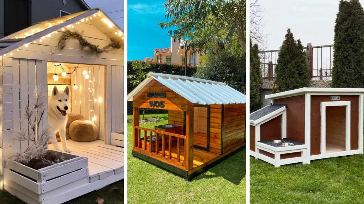 17 Homemade Outdoor Dog Kennel Ideas That Look Custom