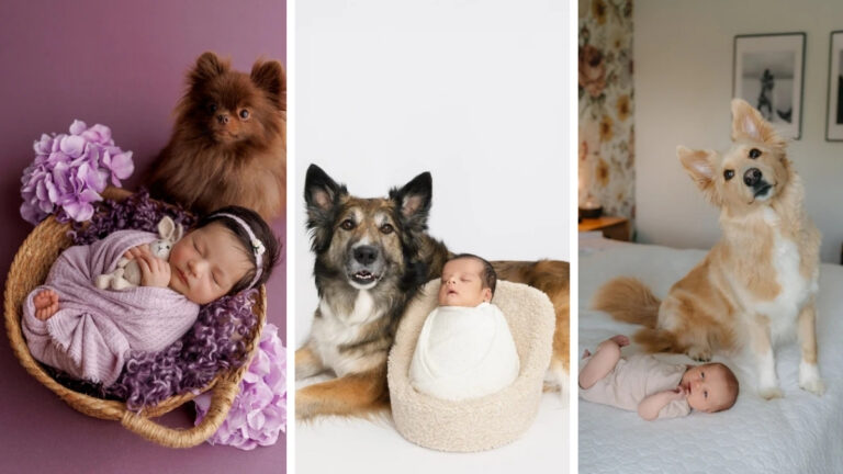17 Newborn Photo Ideas With Dog Done Safely