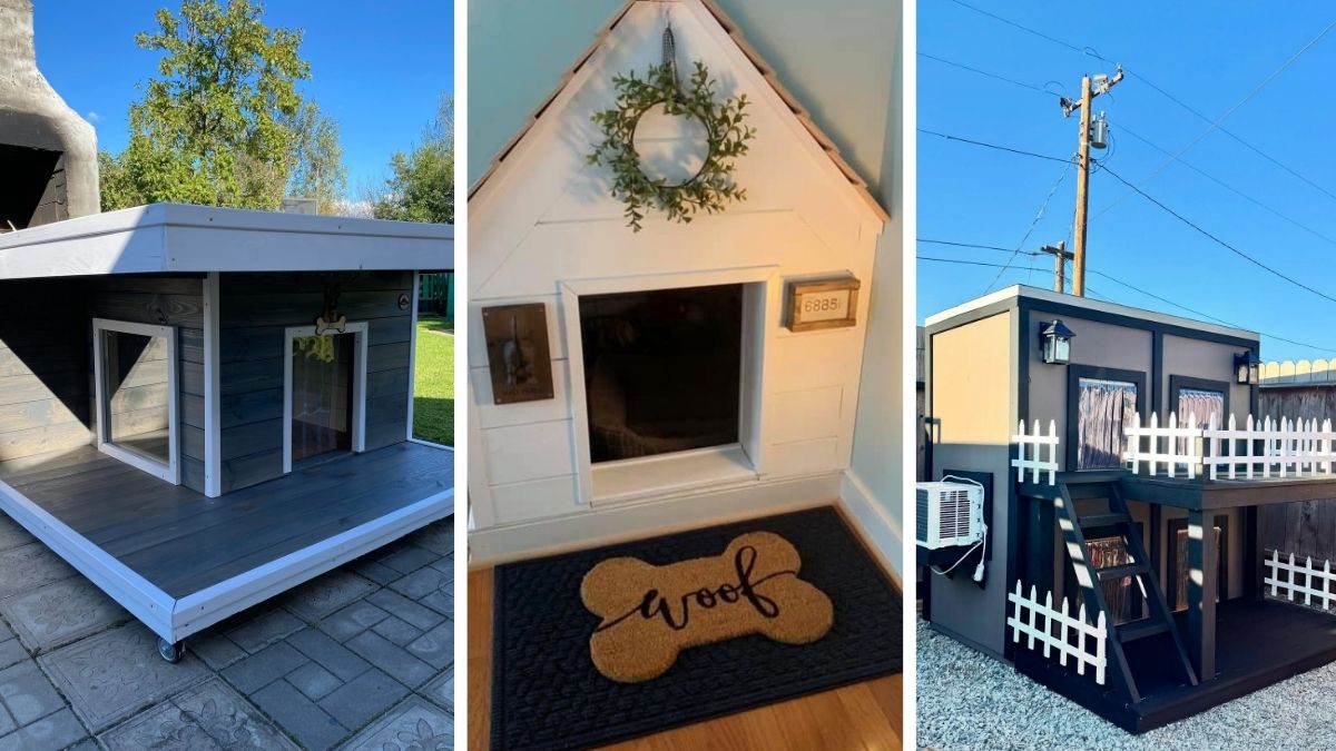 17 Winter Dog House Ideas That Stay Warm Below Freezing
