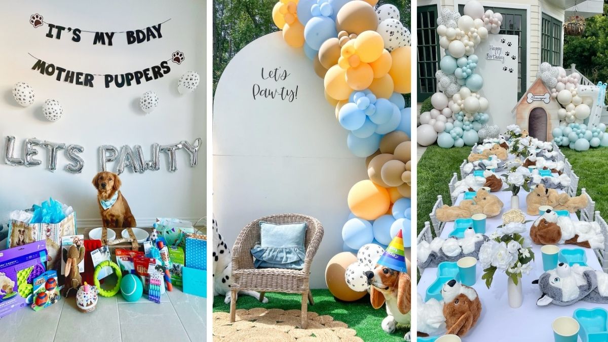 18 Dog Birthday Party Ideas From Backyard to Bakery