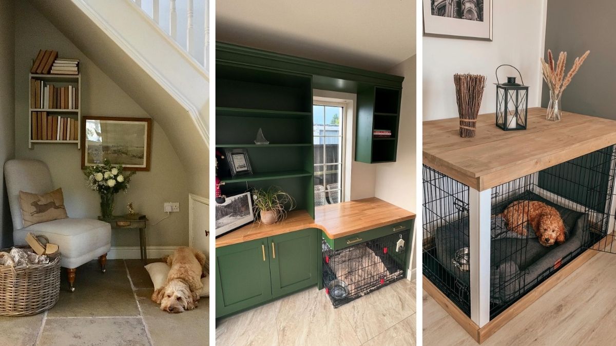 18 Dog Corner Ideas When You Live in an Apartment