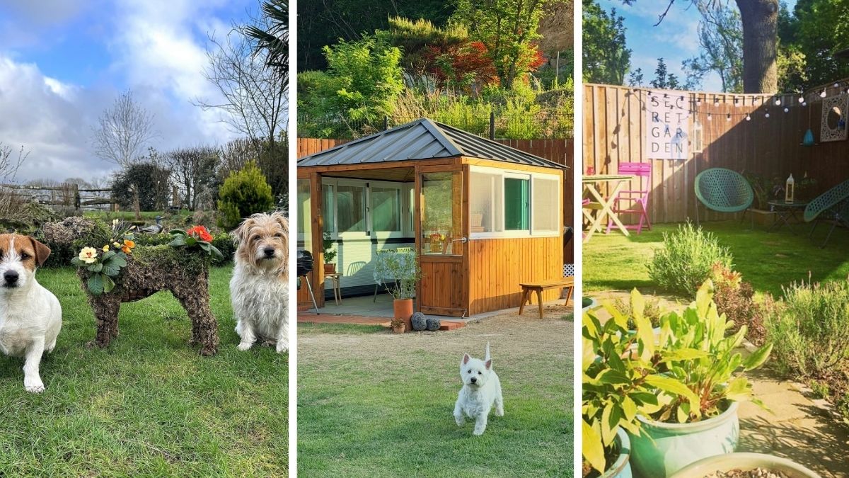 18 Dog-Friendly Garden Ideas With Non-Toxic Plants
