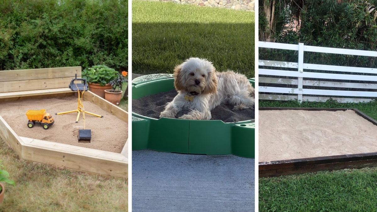 18 Dog Sandbox Ideas to Save Your Lawn From Digging