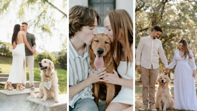 18 Engagement Photo Ideas With Your Dog as Best Man