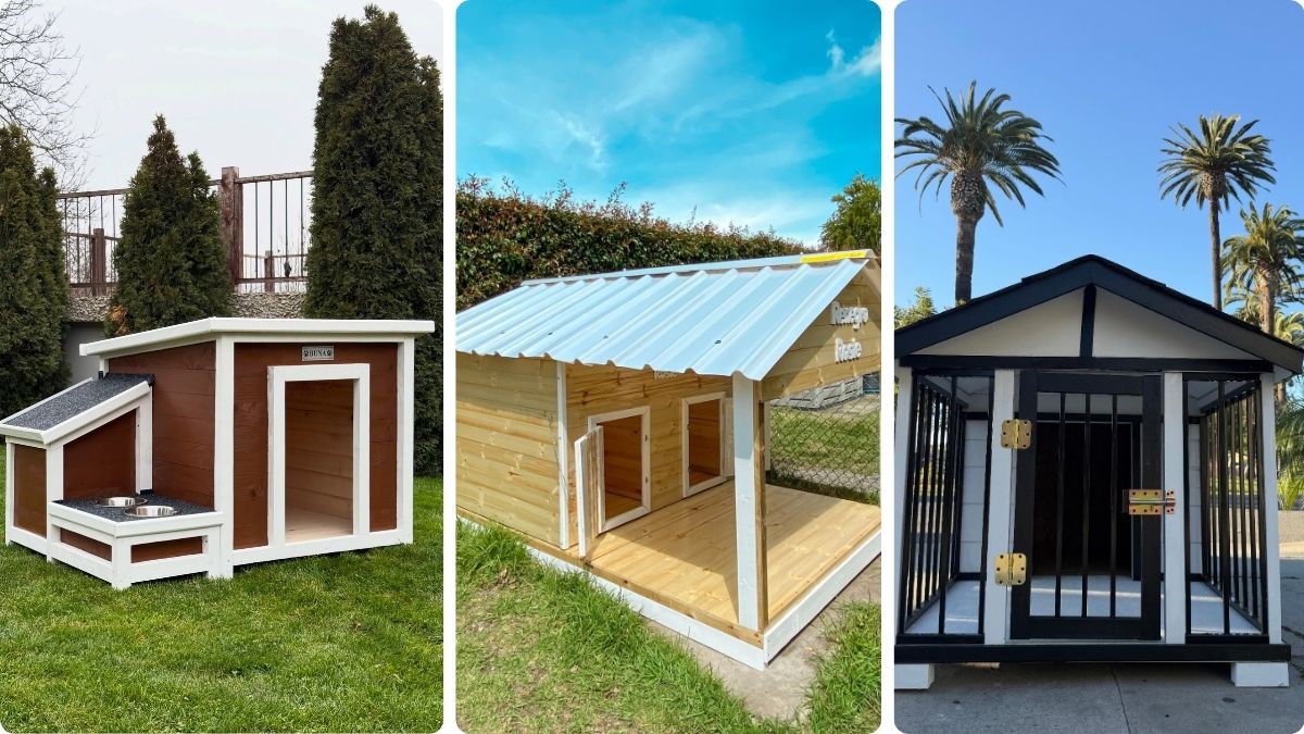 18 Large Dog House Ideas Sized for Giant Breeds