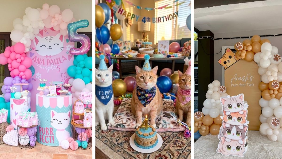 19 Cat Birthday Party Ideas (Yes, It Can Be Cute)