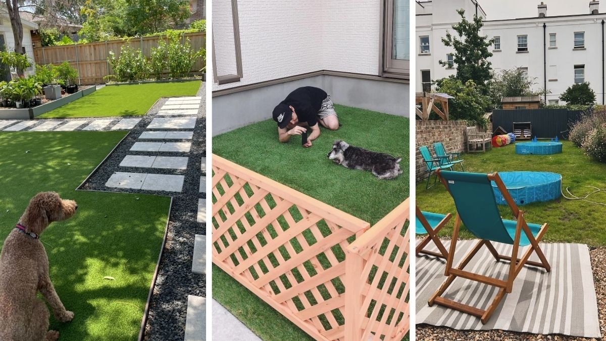 19 Dog-Friendly Backyard Ideas That Survive Daily Zoomies