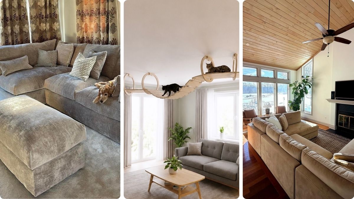 19 Pet-Friendly Living Room Ideas That Survive Claws and Fur
