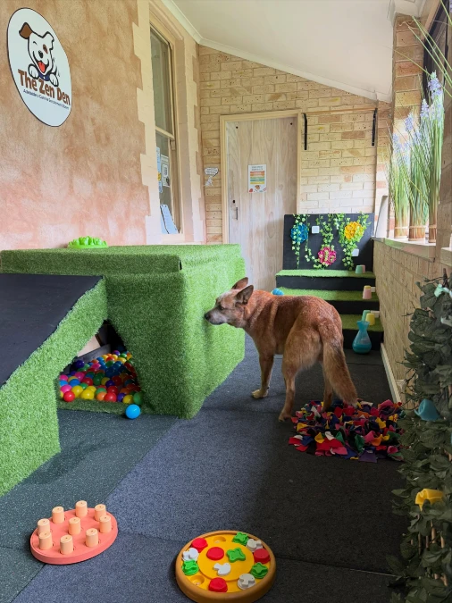 Artificial Turf Play Structures in Enclosed Patios