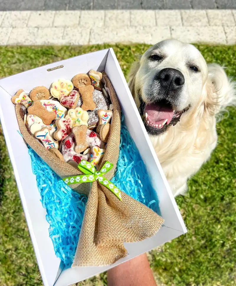 Artisan Dog Treat Bouquet in Gift Box