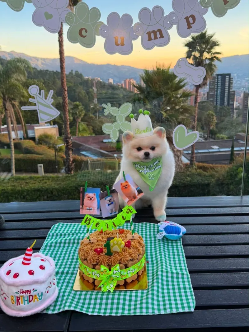 Balcony Setup with Green Gingham Placemat, Custom Crown, and Mountain View Backdrop