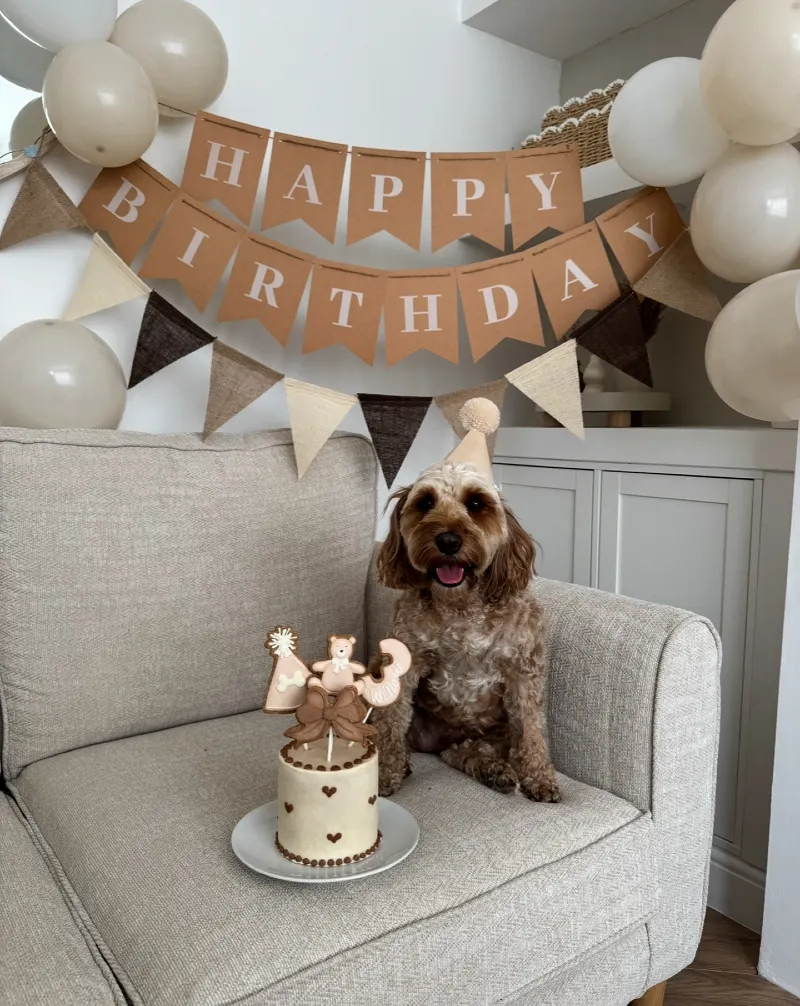 Beige Armchair Party Nook with Burlap Pennants and Heart-Dotted Cake