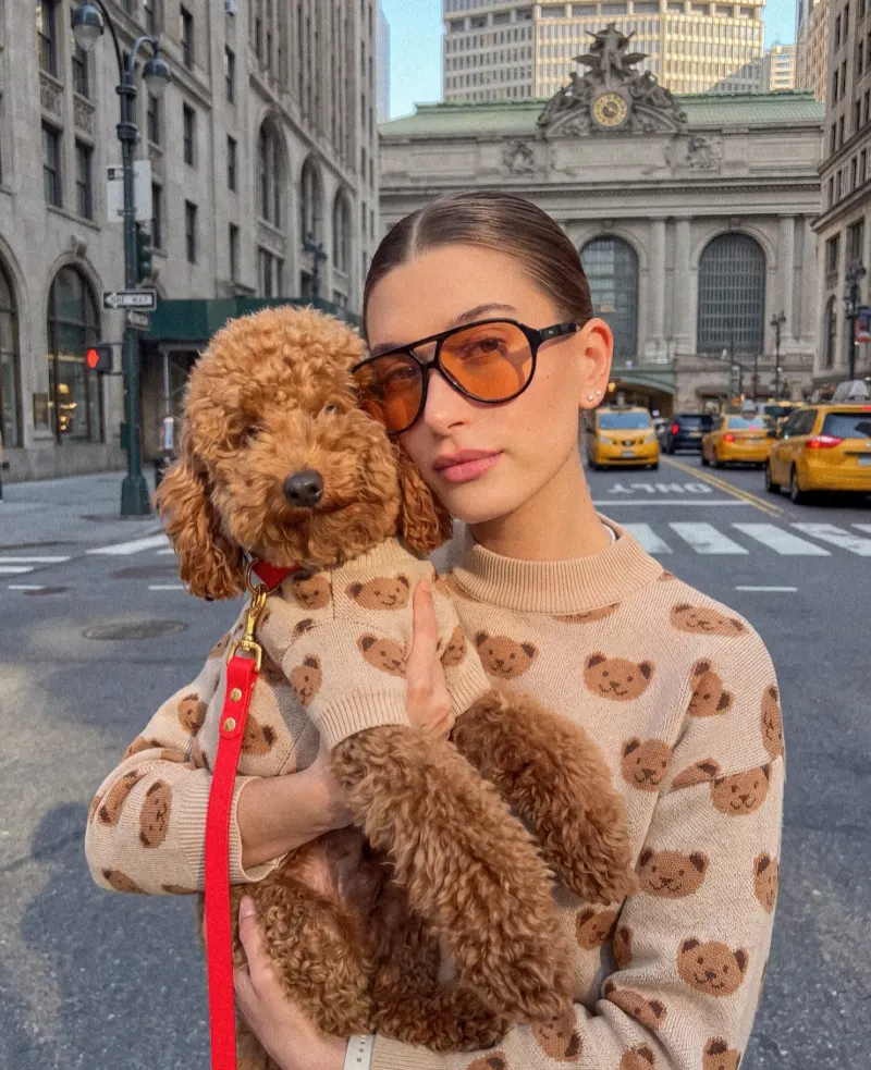Beige Teddy Bear Print Knit Sweaters on a Chic Woman and Her Toy Poodle