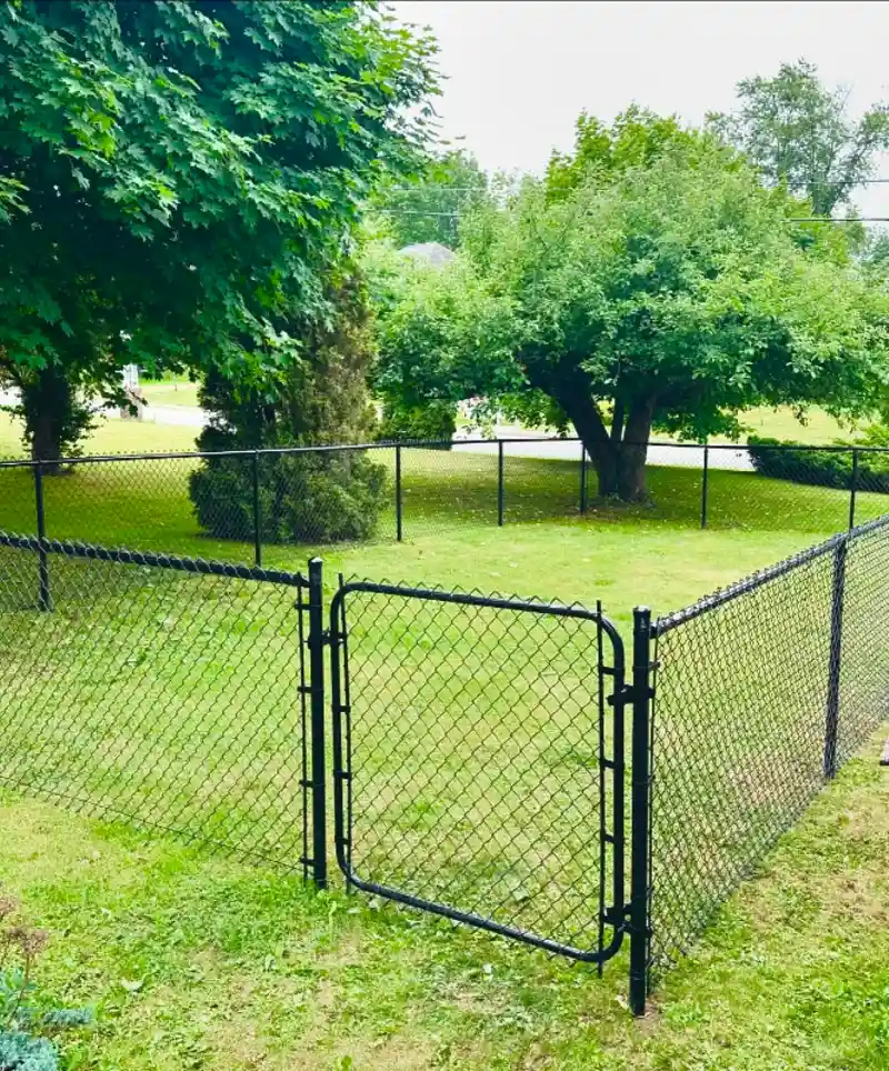 Black Chain-Link Security Fence with Latched Gate and Grassy Play Area