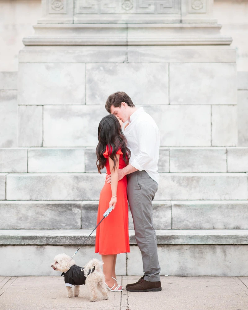 Black Formal Tuxedo Suit on a White Small Breed Dog