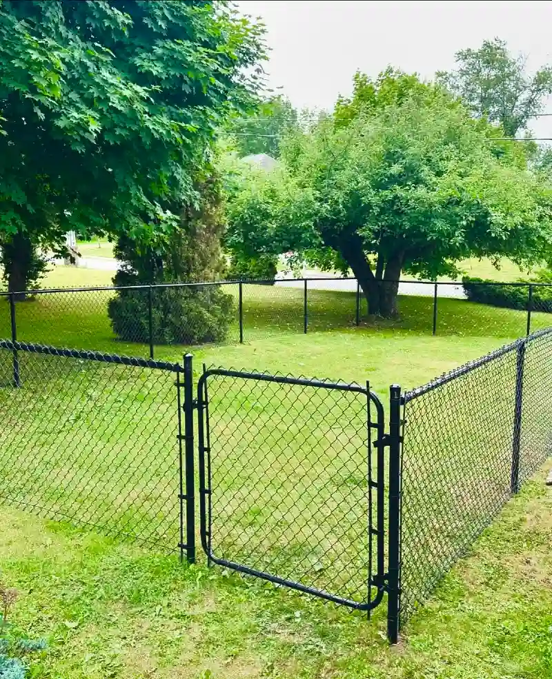 Black Vinyl Coated Chain Link Enclosure with Curved Pedestrian Gate