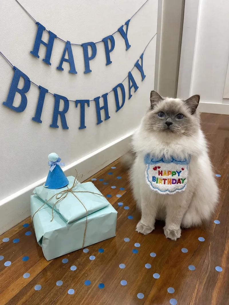 Blue Cardstock Letter Banner with Embroidered Birthday Bib and Twine-Wrapped Gifts