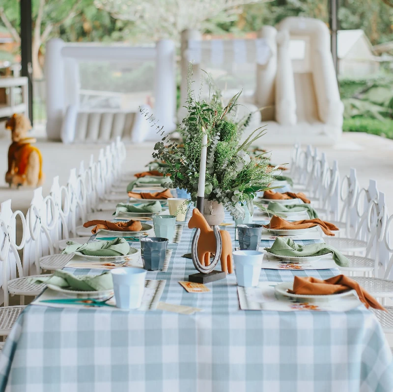Blue Gingham Tablescape with Sage and Terracotta Linens and Wooden Horse Accent
