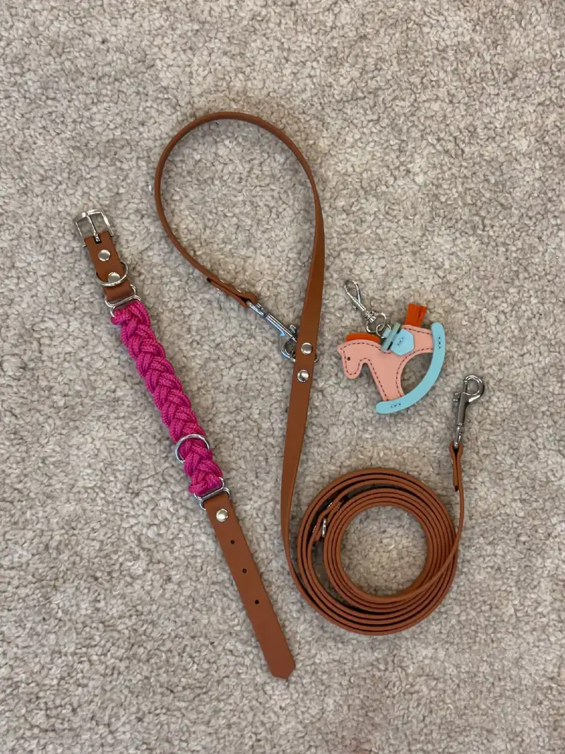 Braided Pink Rope Collar and Leather Leash Set