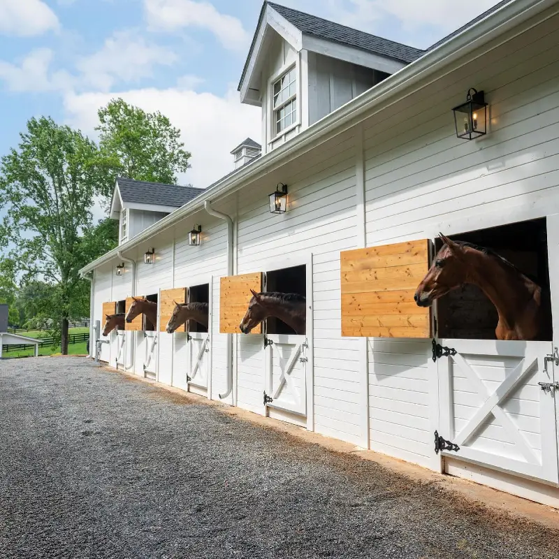 Bright White Exterior Dutch Doors with Rich Wood Linings and Black Lanterns