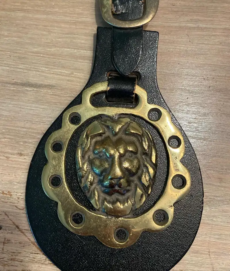 Cast Brass Lion Head Medallion on Black Leather Martingale Backing