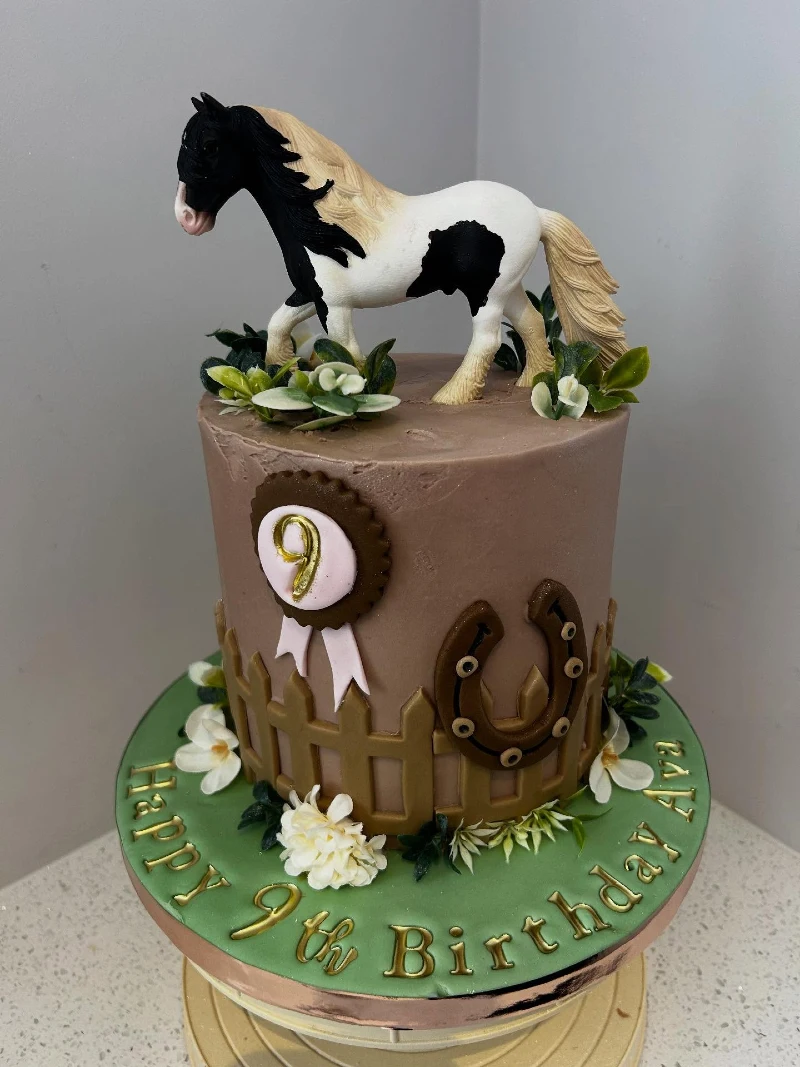 Chocolate Paddock Cake with Piebald Pony and Prize Ribbon Topper