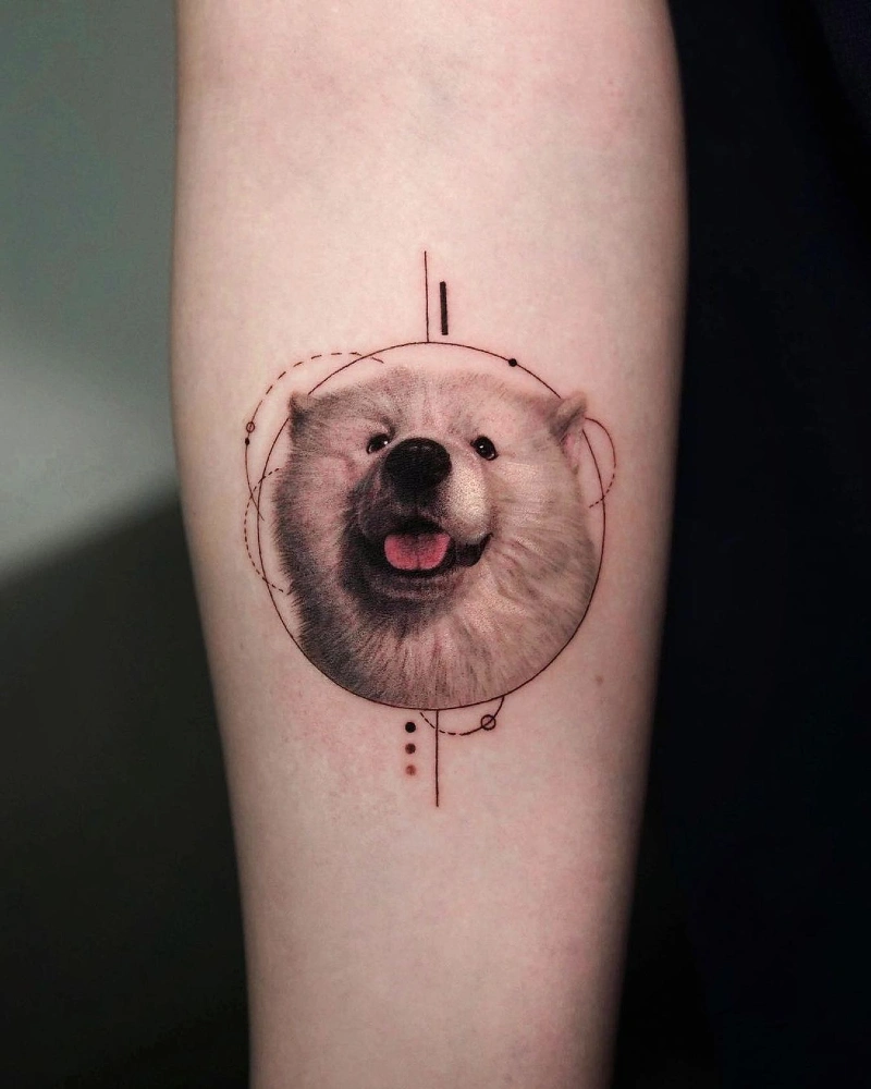 Circular Constellation Framed Fluffy White Samoyed Portrait with Delicate Axis Lines