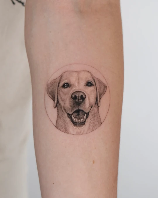 Circular Framed Labrador Portrait