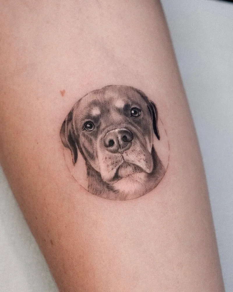 Circular Framed Micro-Realism Rottweiler Portrait with Soft Velvet Shading
