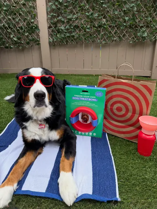 Color Coordinated Outdoor Hydration Stations