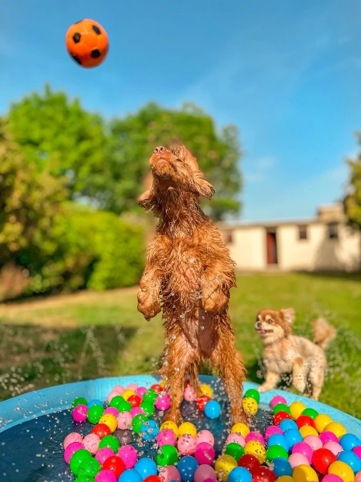 Colorful Ball Pit Water Feature