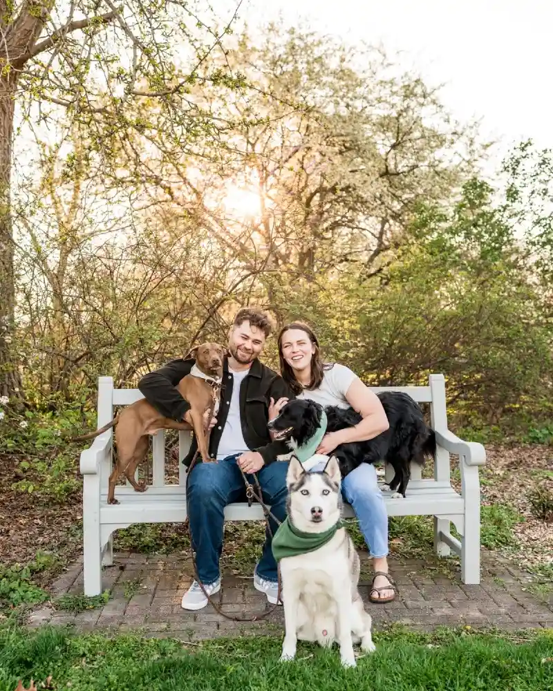 Coordinated Earth-Toned Bandanas on a Multi-Dog Trio