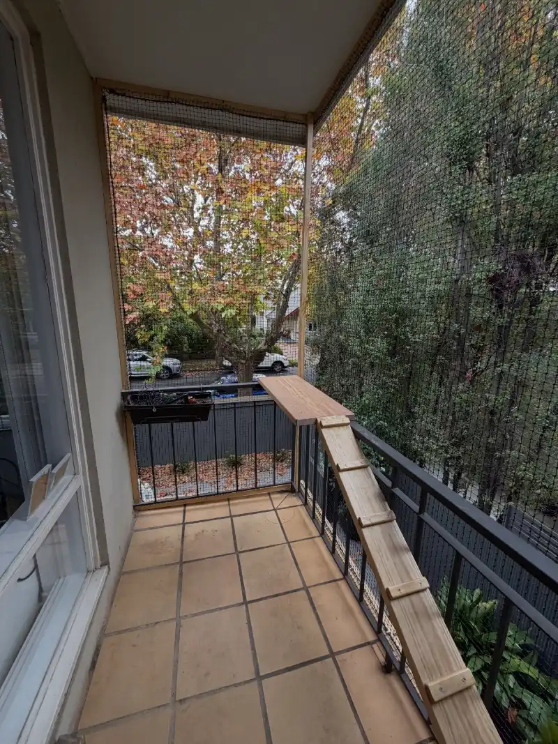 Corner Railing Wooden Perch with Cleated Climbing Ramp and Full-Height Black Netting