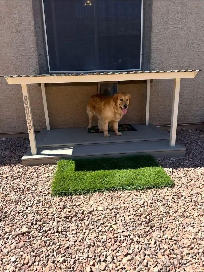 Covered Dog Door Porch with Corrugated Metal Roof and Artificial Turf Landing