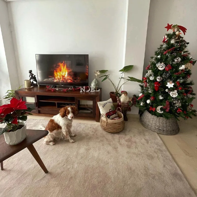 Cozy Apartment Living Corner with Woven Tree Collar and Media Console Fireplace