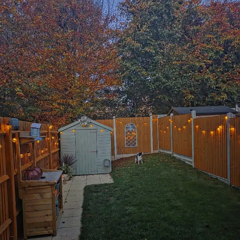 Cozy Autumn Lawn Enclosed by Warm String Lights and an Arched Trellis