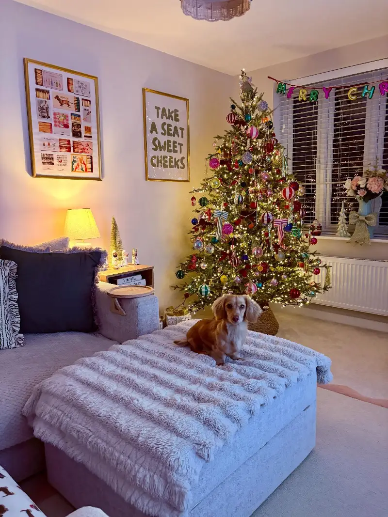 Cozy Living Room with Dense Warm Lit Tree and Textured Ottoman Blanket