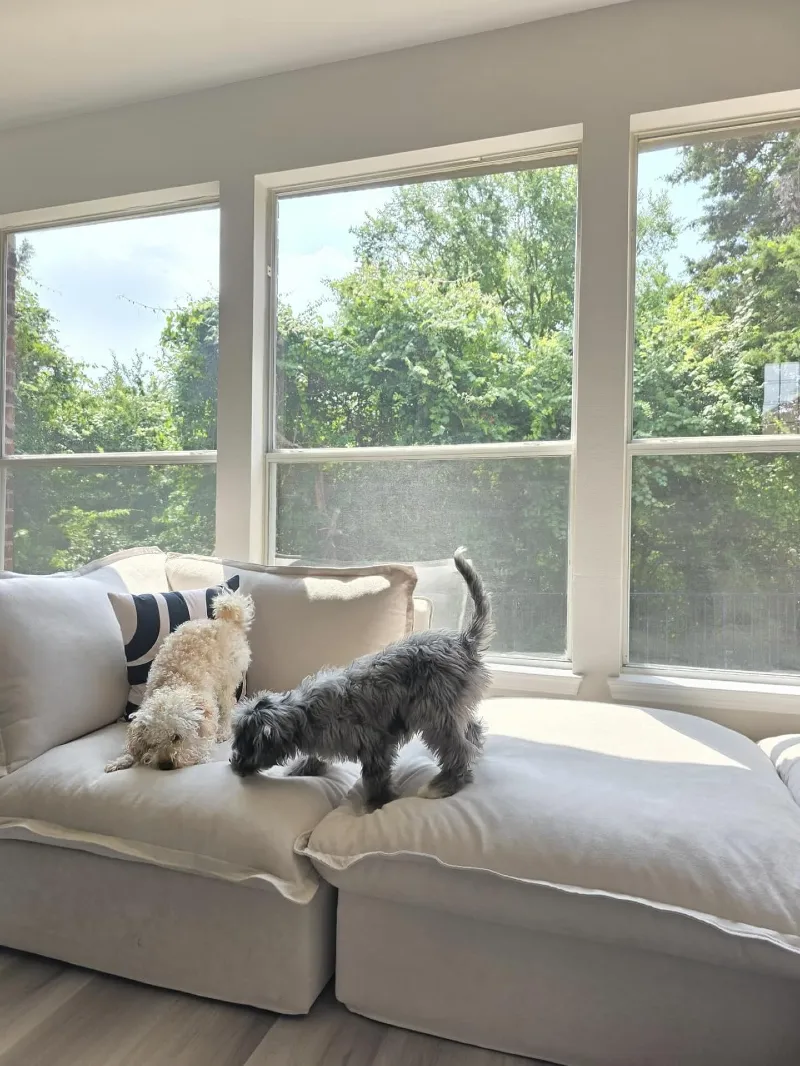 Cream Cloud Sofa with Monochrome Graphic Pillow Against Three Tall Windows