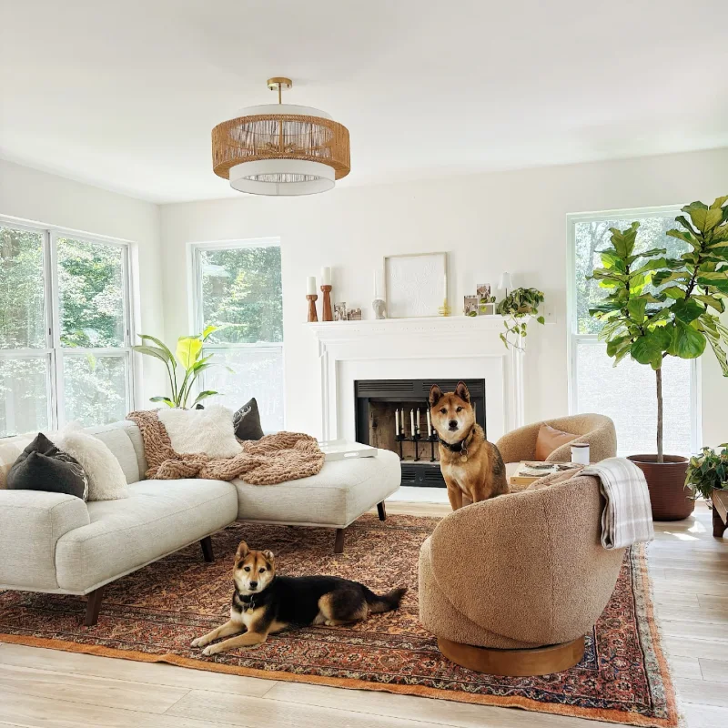 Cream Sectional with Curved Bouclé Swivel Chair and Terracotta Oriental Rug