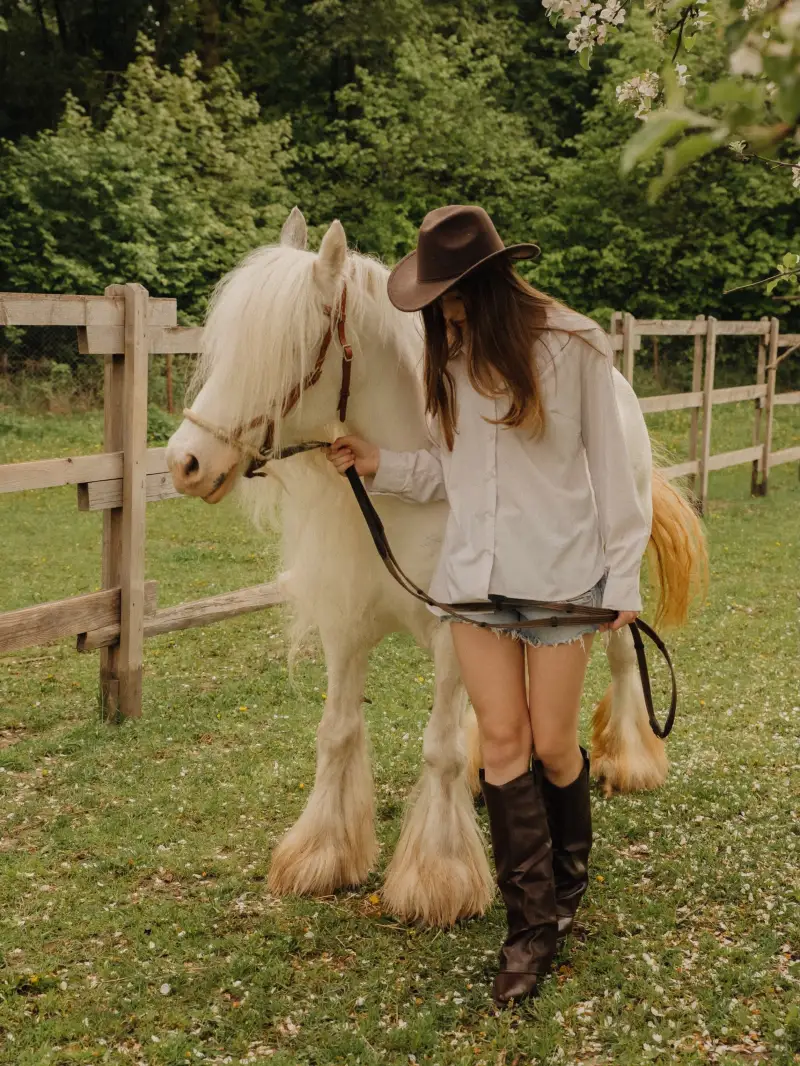 Crisp White Shirt and Denim Shorts with a Feathered Gypsy Vanner