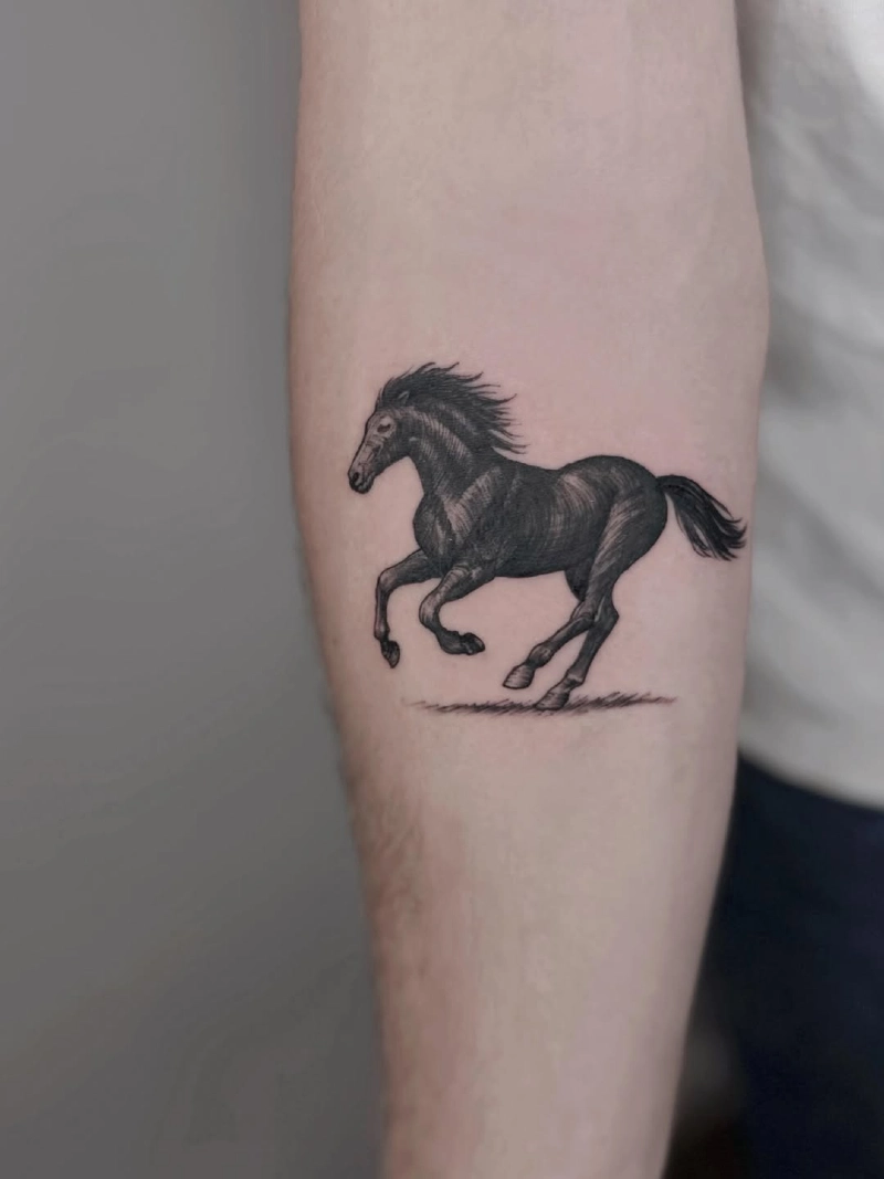 Cross-Hatched Dark Stallion Silhouette with Ground Shadow Accent