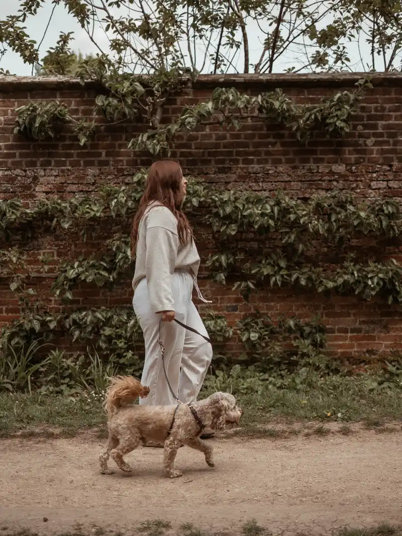 Dark Leather Harness and Cream Loungewear alongside a Walled Garden Path