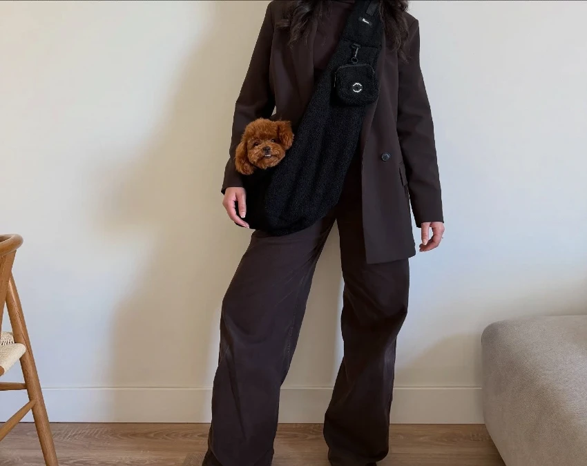 Deep Chocolate Suiting and Plush Accessories